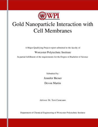 Gold Nanoparticle Interaction with Cell Membranes thumbnail
