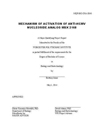 Mechanism of Activation of Anti-HCMV Nucleoside Analog MBX 2168 thumbnail