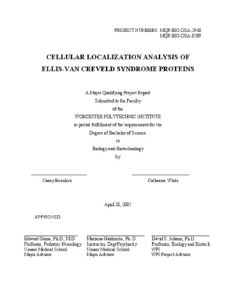 Analysis of Ellis-van Creveld Syndrome Proteins thumbnail