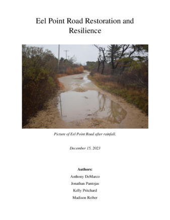 Eel Point Road Restoration and Resilience thumbnail