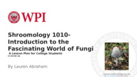 Shroomology 1010- Introduction to the Fascinating World of Fungi 缩图