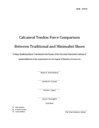 Calcaneal Tendon Force Comparison Between Traditional and Minimalist Shoes thumbnail