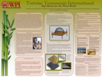 Tortoise Tenements International: Safe Homes for the Third World thumbnail