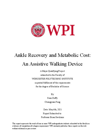 Ankle Recovery and Metabolic Cost: An Assistive Walking Device thumbnail