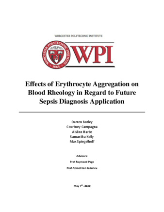 Student Work Effects Of Erythrocyte Aggregation On Blood Rheology In Regard To Future Sepsis Diagnosis Application Id 6969z351m Digital Wpi