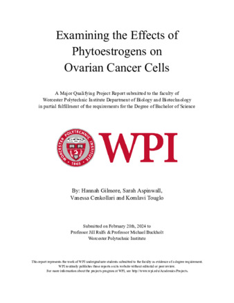 Examining the Effects of Phytoestrogens on Ovarian Cancer Cells miniatura