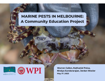 Education on Marine Pests in Port Phillip Bay thumbnail